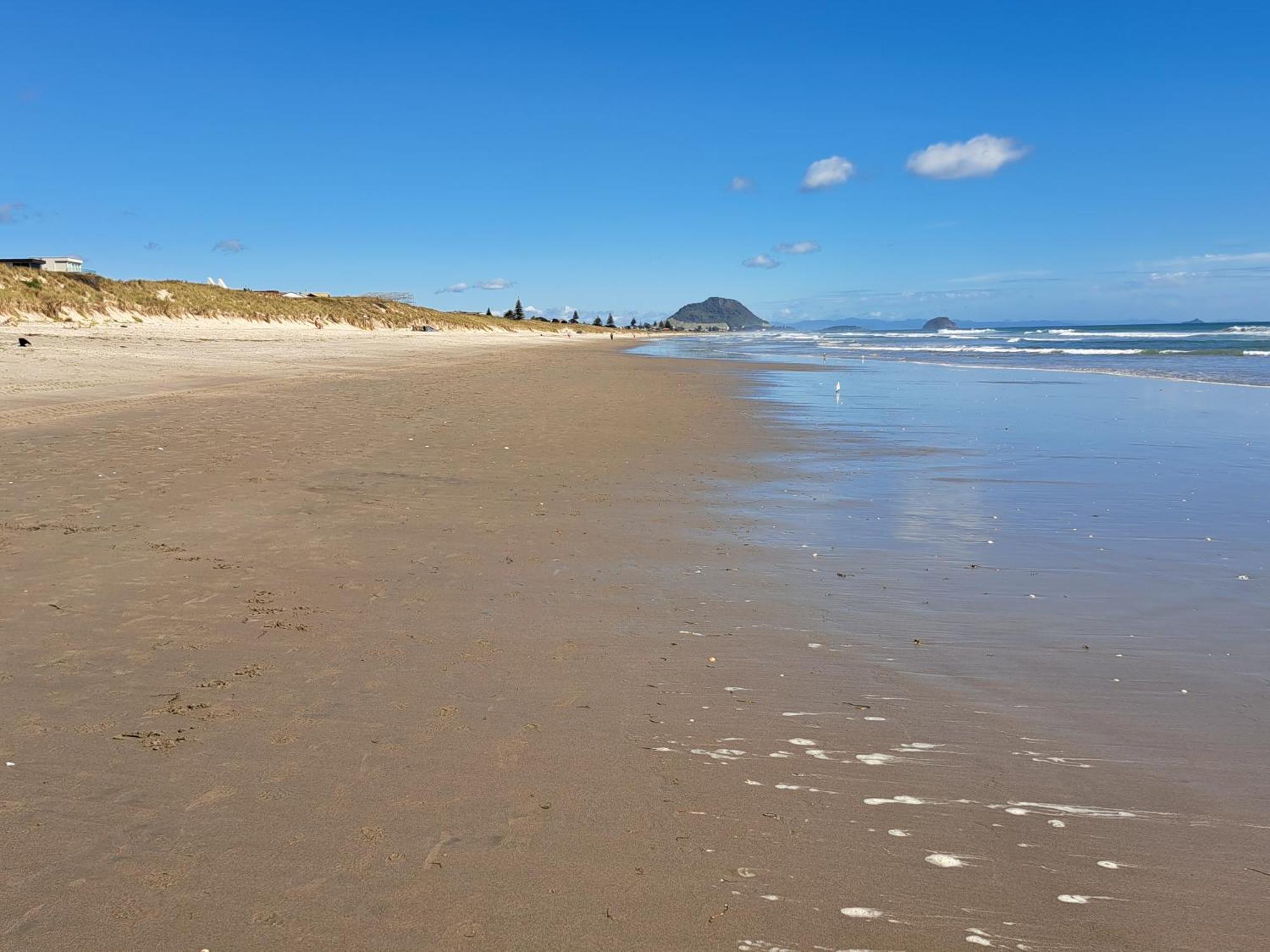 Sunbrae Beach Sanctuary Free High Fibre Wifi Lägenhet Mount Maunganui Exteriör bild